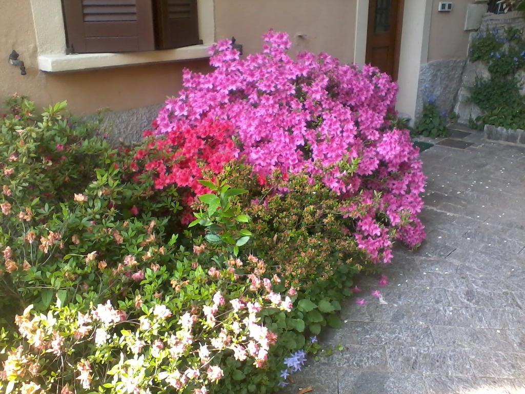 Casa Margherita โกโม ภายนอก รูปภาพ